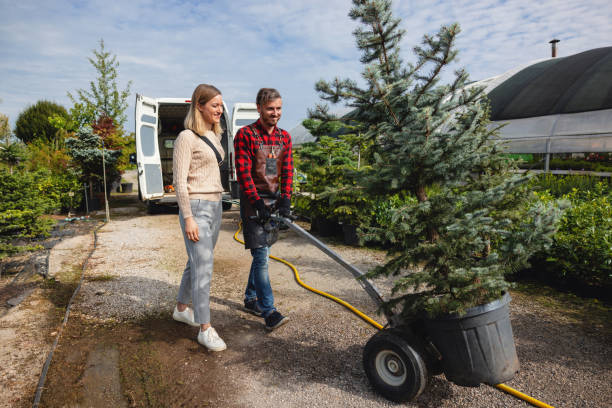 Best Tree Preservation Services  in Tolono, IL